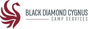 Black Diamond Cygnus